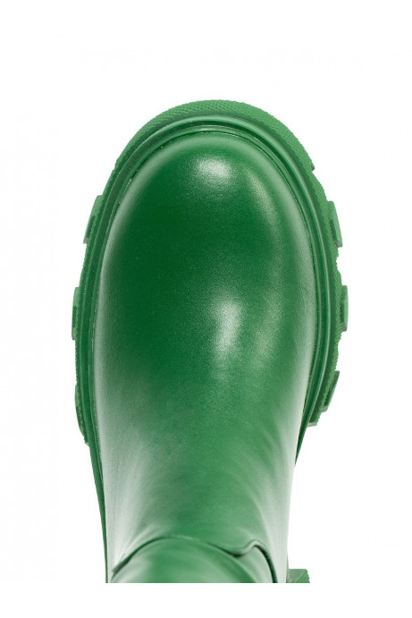 Сапоги женские арт. 57-H1616C-S3227 зелёный